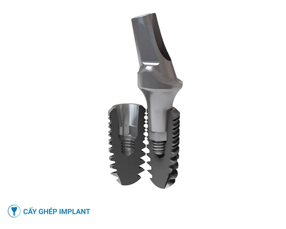 các loại trụ implant