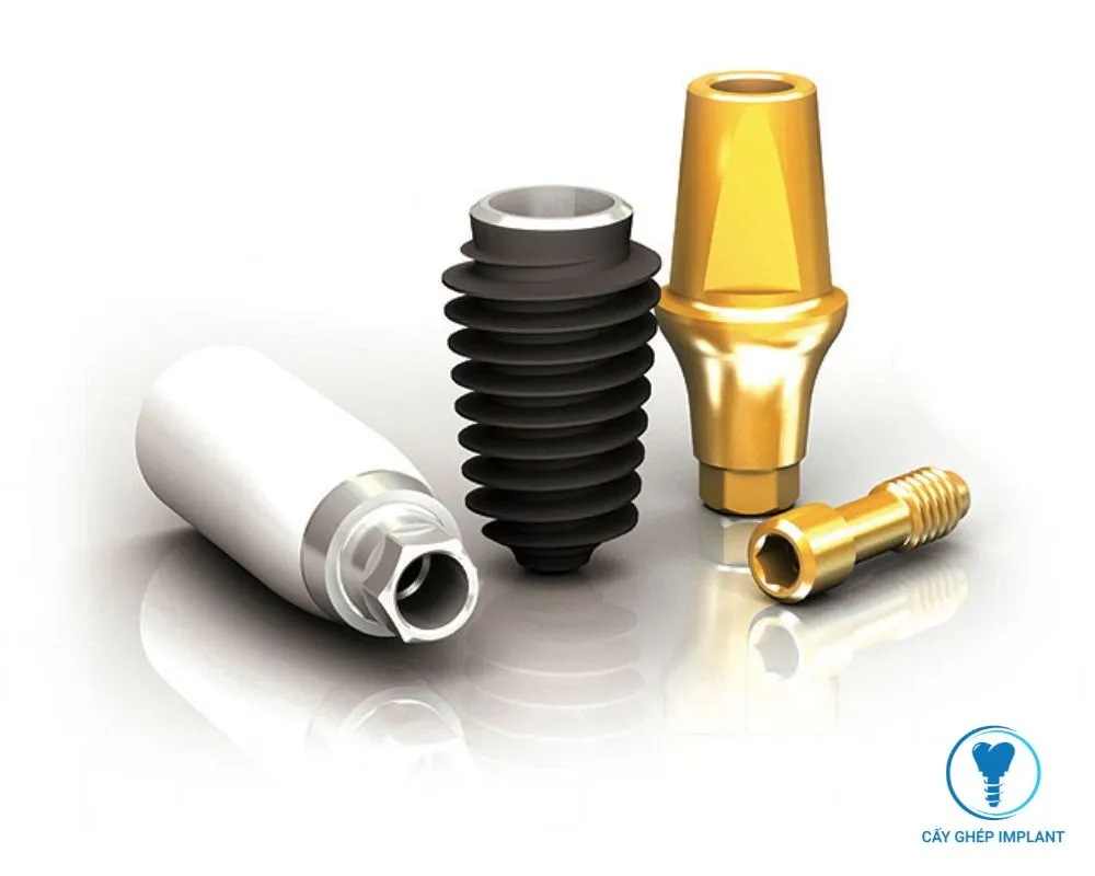 các loại trụ implant hàn quốc